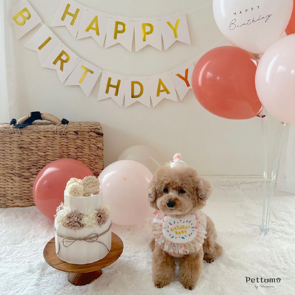 犬服ハンドメイド　ハッピーパーティ♡バルーン 犬服ハンドメイドハッピーパーティ♡バルーン